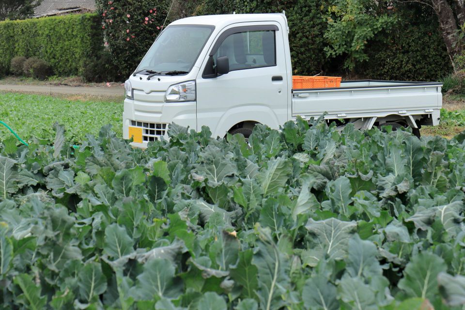 空からの贅沢、ヘリポートの隠された真実とは？